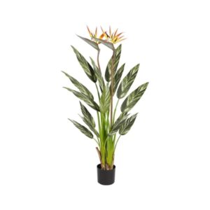 Kunstplant | alpinia