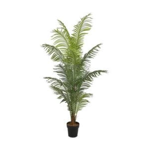 Goudpalm 200cm