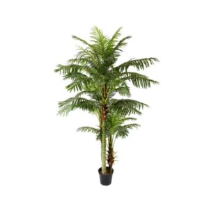 Kunstplant | goudpalm 235 cm